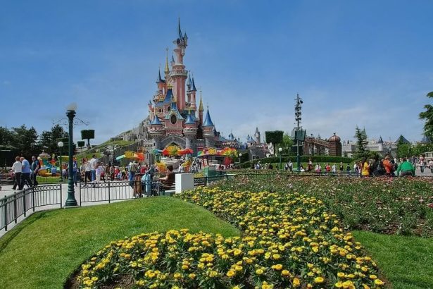 Discover the Magic: Hong Kong Disneyland Park Tickets