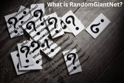 What is RandomGiantNet (1)