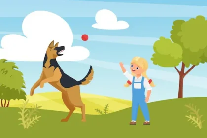 How to Prevent Ticks and Fleas on Your Dog (Summer 2025)
